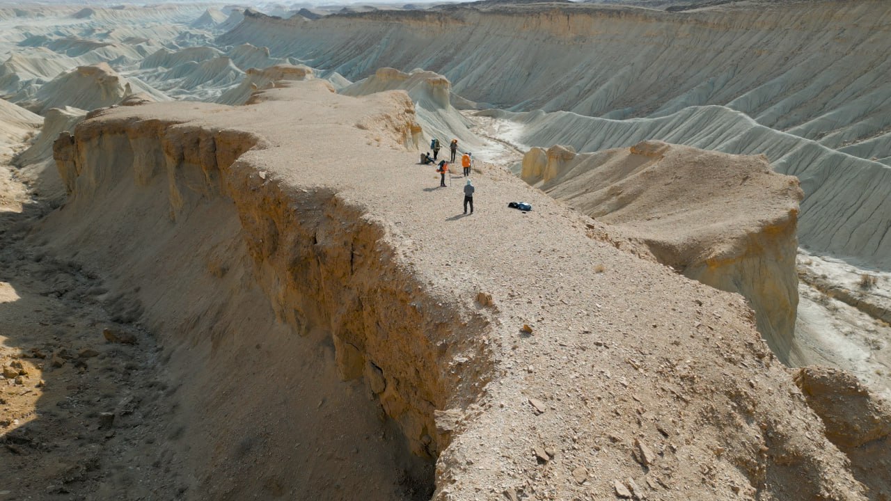 photo_17_2025-07-14_12-29-23